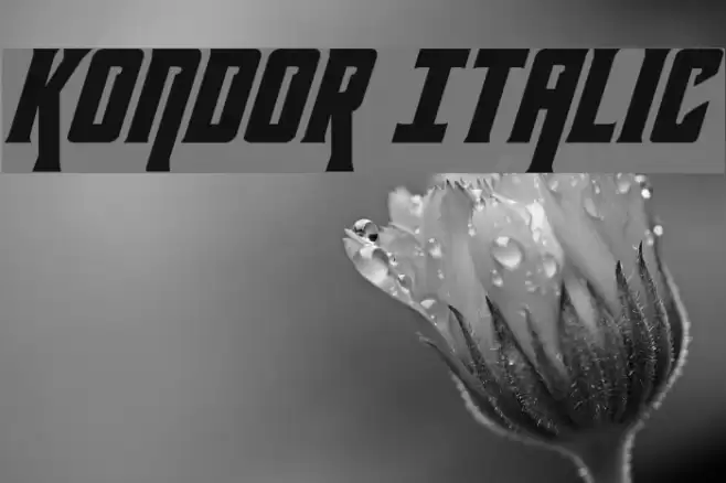 Kondor Italic Font examples