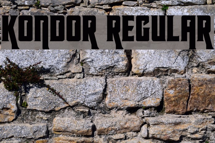 Kondor Regular Font examples