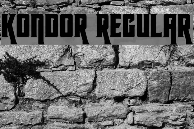 Kondor Regular Font examples
