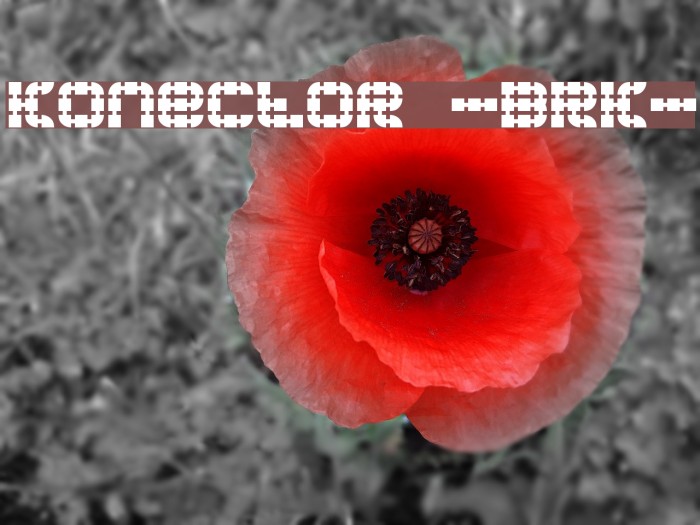 Konector -BRK- Font examples