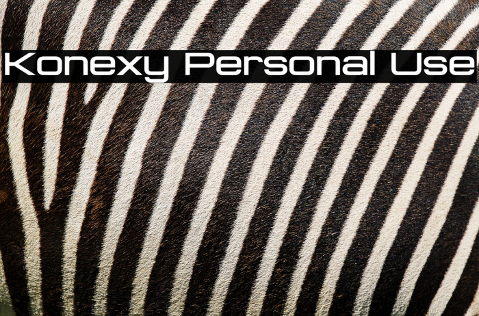 Konexy Personal Use Example 1