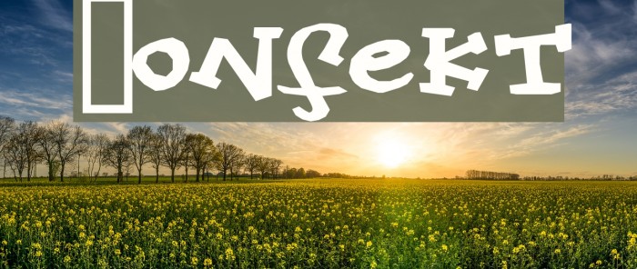 Konfekt Шрифта examples
