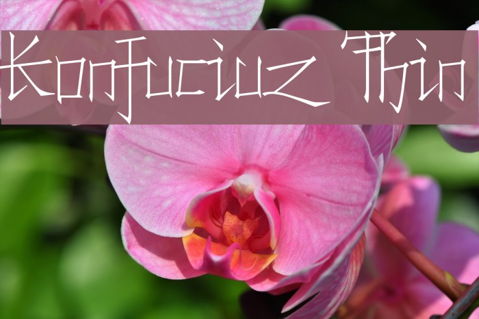 Konfuciuz Thin Font examples