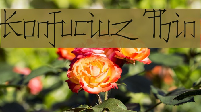 Konfuciuz Thin Font examples