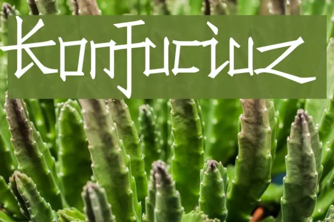 Konfuciuz Example 2