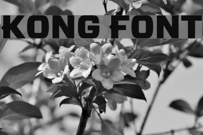 Kong Font examples