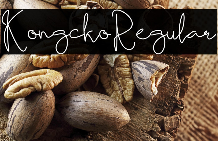 KongckoRegular Example 1
