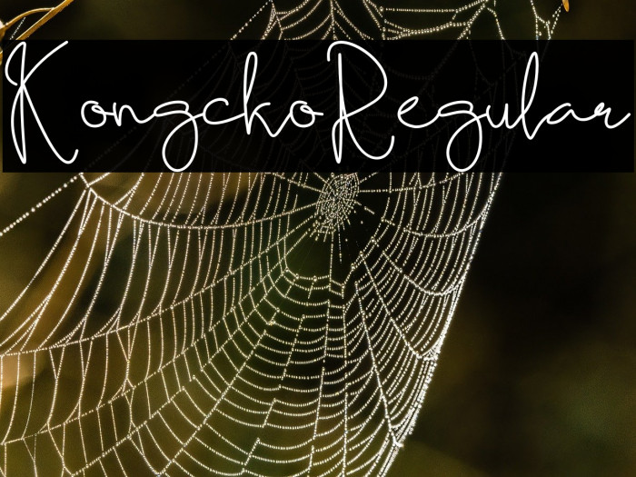 KongckoRegular Example 3