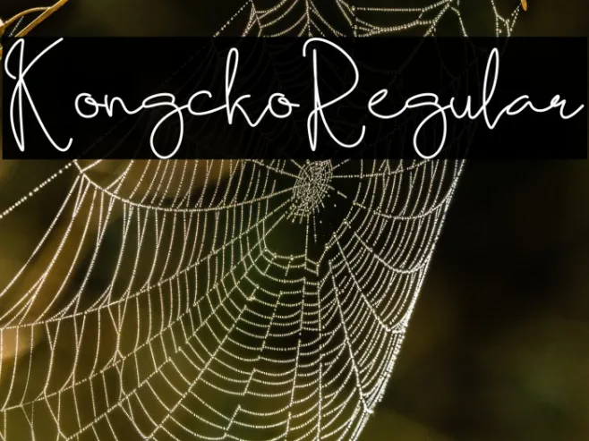 KongckoRegular Example 3