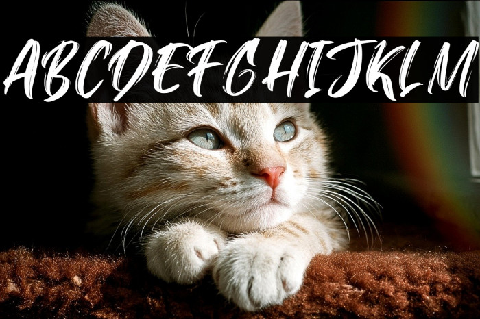 Konichiwa-Regular Example 1