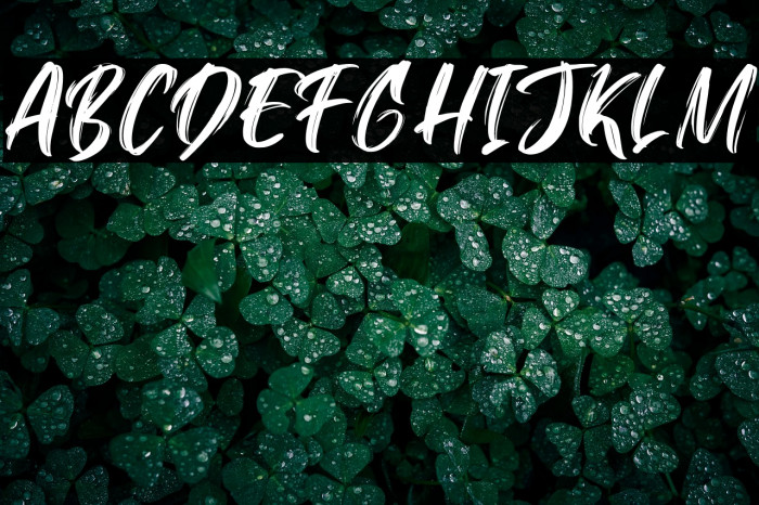 Konichiwa-Regular Example 3