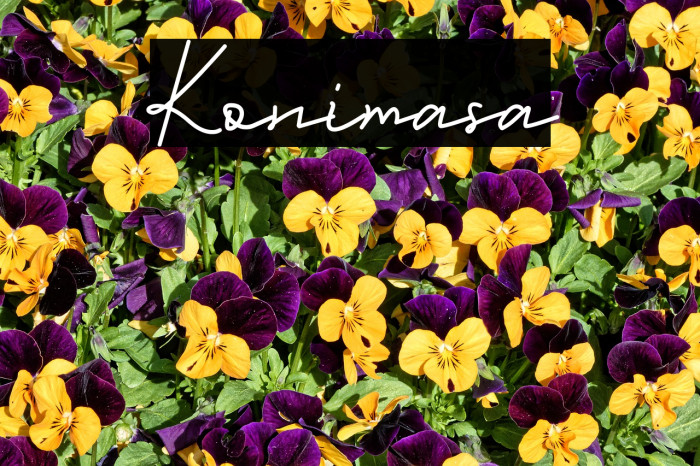 Konimasa Font examples