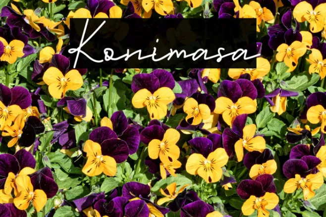 Konimasa Example 1