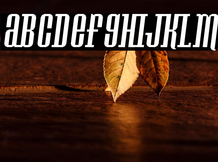 Konspiracy Theory slant Example 2