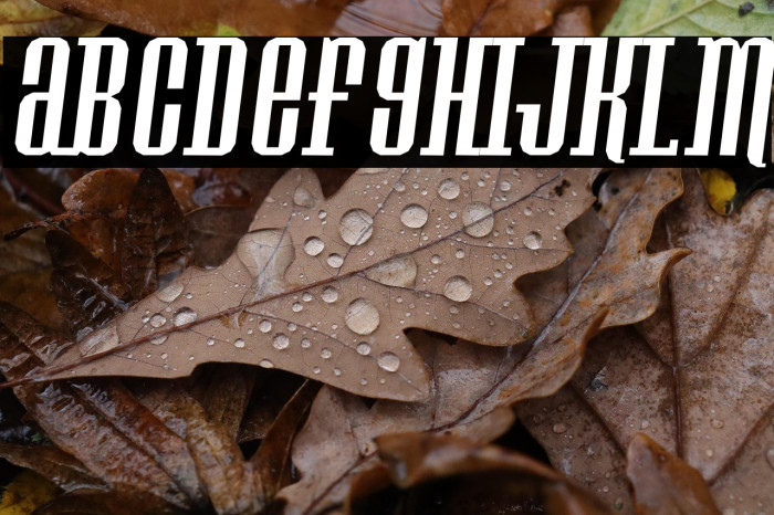 Konspiracy Theory slant Example 3