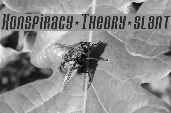 Konspiracy Theory slant Fonte examples