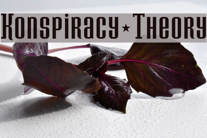 Konspiracy Theory Font examples