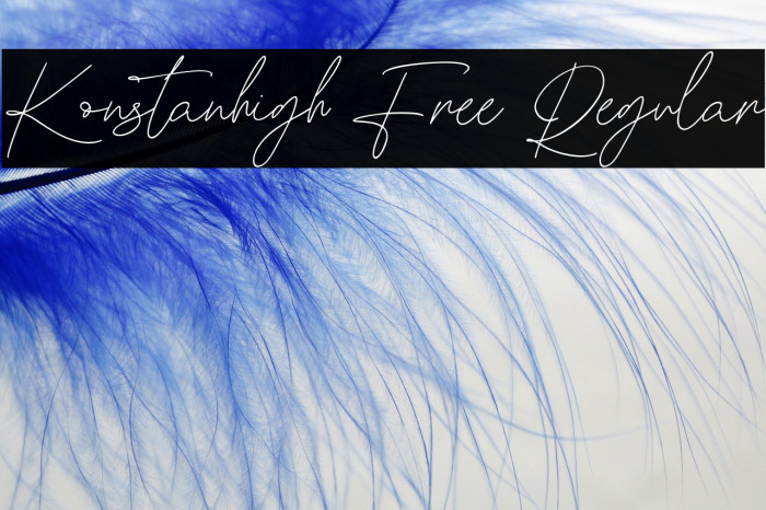 Konstanhigh Free Regular Example 1