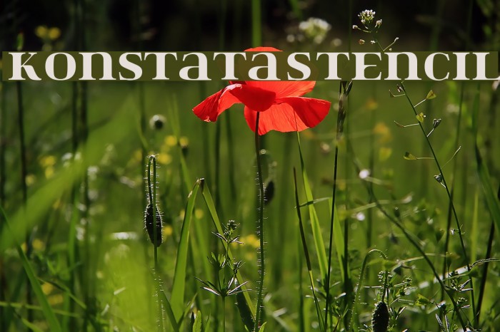 Konstata-Stencil Font examples