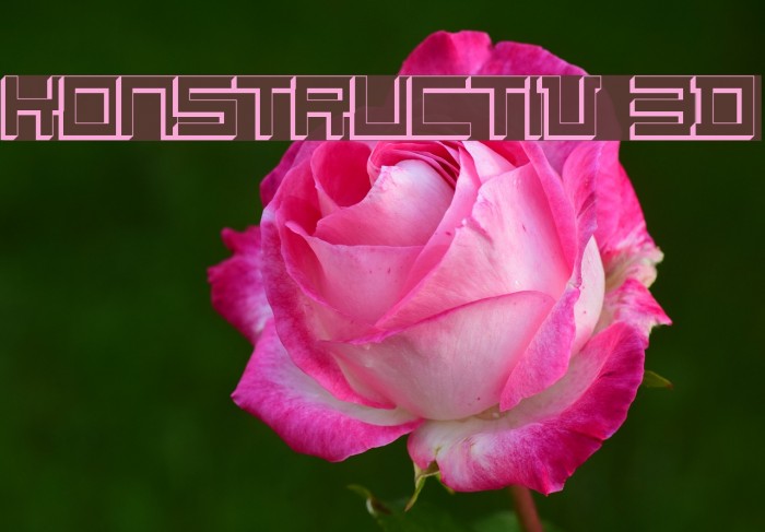 Konstructiv 3D Font examples