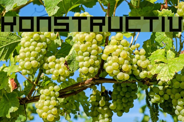 Konstructiv Font examples