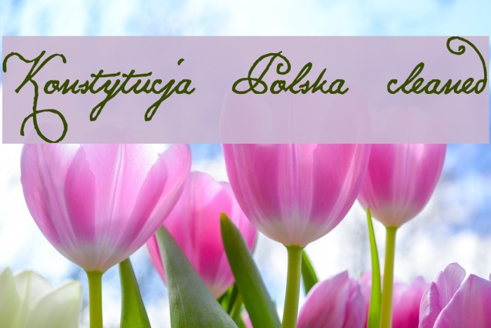 Konstytucja Polska cleaned Font examples