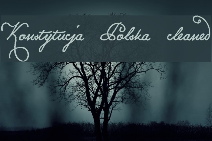Konstytucja Polska cleaned Font examples