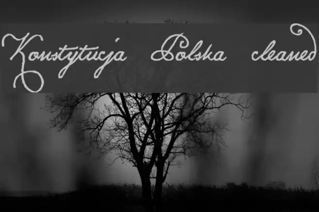 Konstytucja Polska cleaned Font examples