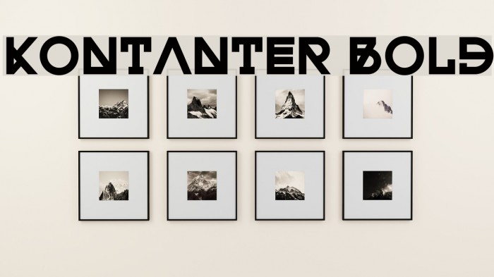 Kontanter Bold Example 1