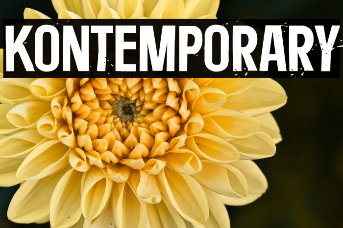 Kontemporary Example 1