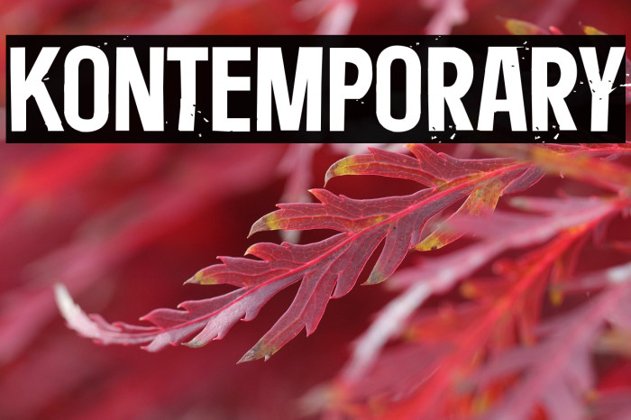 Kontemporary Example 3