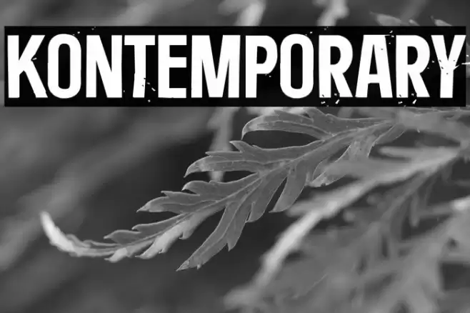 Kontemporary Font examples