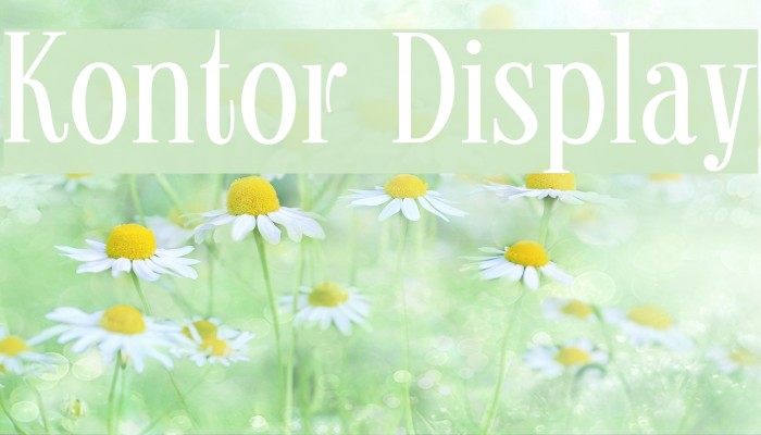 Kontor Display Font examples
