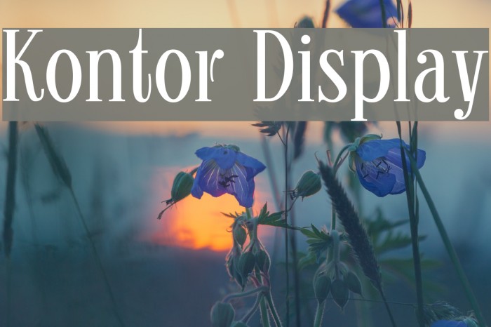Kontor Display Font examples