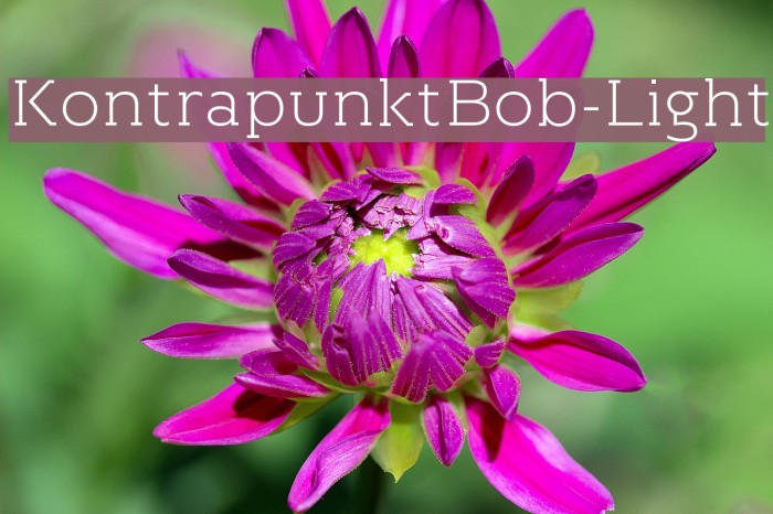 KontrapunktBob-Light Font examples
