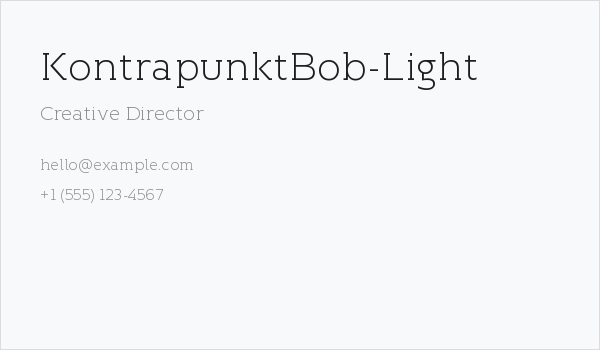 KontrapunktBob-Light Business Card