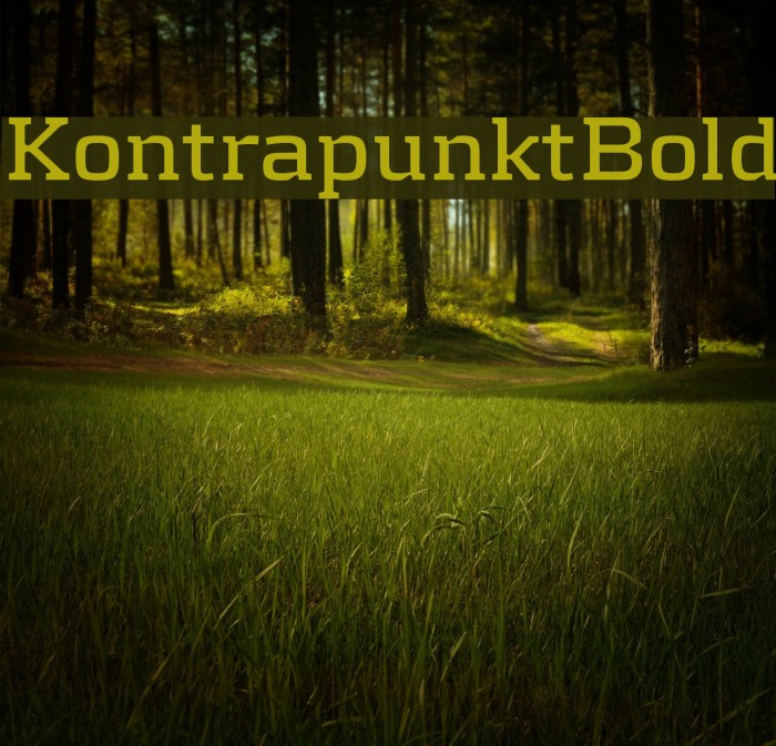KontrapunktBold Font examples