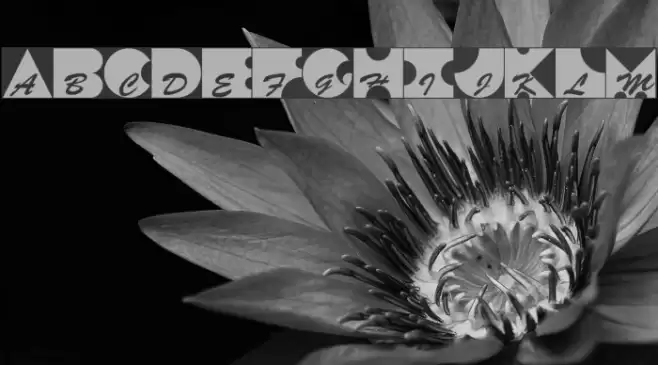 Kontrast Font examples