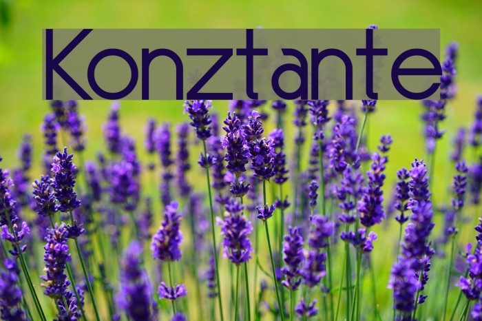 Konztante फ़ॉन्ट examples
