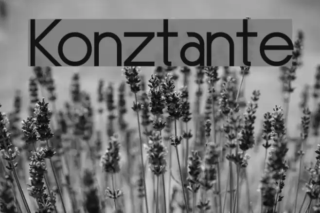Konztante फ़ॉन्ट examples