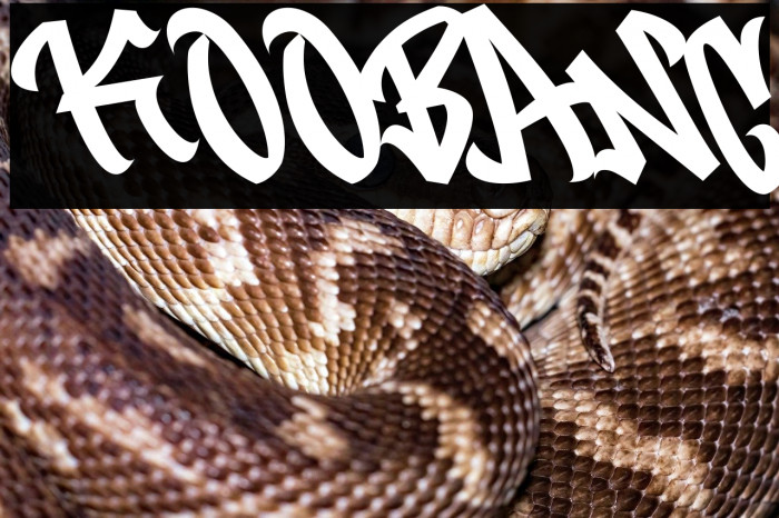 Koobang Font examples
