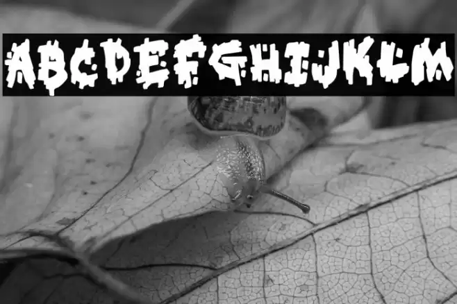 Kookaburra Font examples