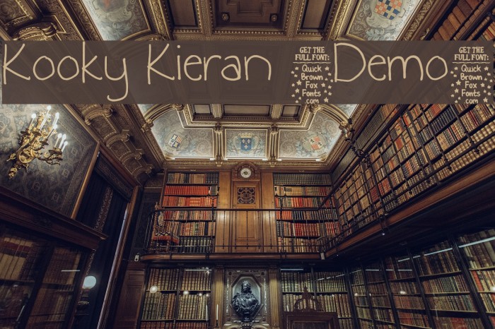 Kooky Kieran [Demo] Example 3