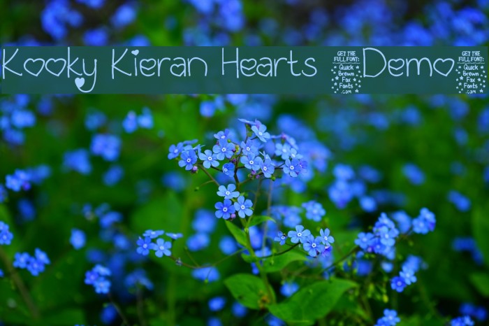 Kooky Kieran Hearts [Demo] Example 2