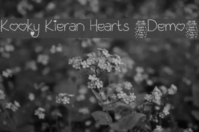 Kooky Kieran Hearts [Demo] Font examples