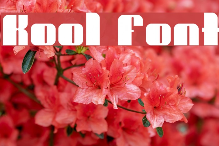 Kool Font examples
