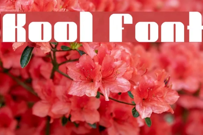 Kool Example 1