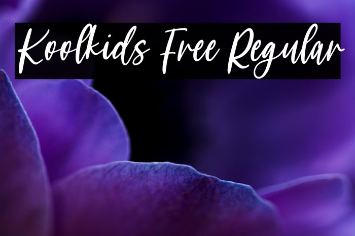 Koolkids Free Regular Example 1