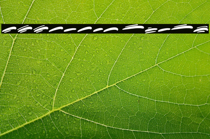 Koonamie Swash Example 1