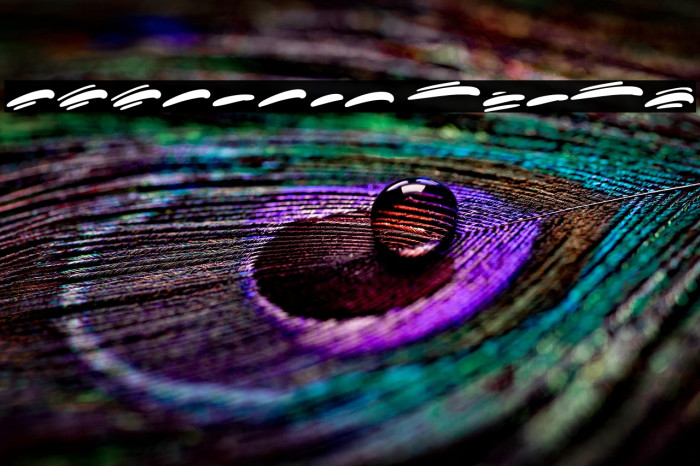 Koonamie Swash Example 3